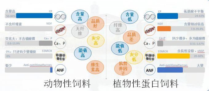 植物蛋白和动物蛋白的区别